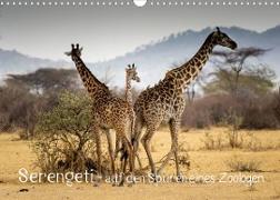 Serengeti - auf den Spuren eines Zoologen (Wandkalender 2023 DIN A3 quer)