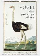 Vögel des südlichen Afrika (Wandkalender 2023 DIN A4 hoch)