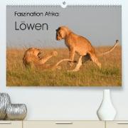 Faszination Afrika: Löwen (Premium, hochwertiger DIN A2 Wandkalender 2023, Kunstdruck in Hochglanz)