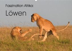 Faszination Afrika: Löwen (Wandkalender 2023 DIN A2 quer)