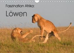 Faszination Afrika: Löwen (Wandkalender 2023 DIN A4 quer)