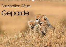 Faszinaton Afrika: Geparde (Wandkalender 2023 DIN A2 quer)
