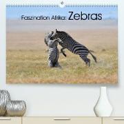 Faszination Afrika: Zebras (Premium, hochwertiger DIN A2 Wandkalender 2023, Kunstdruck in Hochglanz)