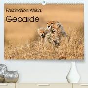 Faszinaton Afrika: Geparde (Premium, hochwertiger DIN A2 Wandkalender 2023, Kunstdruck in Hochglanz)