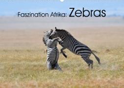 Faszination Afrika: Zebras (Wandkalender 2023 DIN A2 quer)