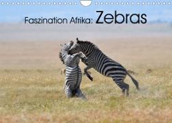 Faszination Afrika: Zebras (Wandkalender 2023 DIN A4 quer)