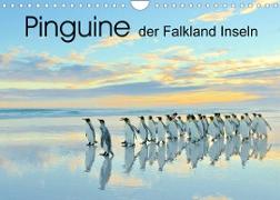 Pinguine der Falkland Inseln (Wandkalender 2023 DIN A4 quer)
