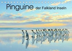 Pinguine der Falkland Inseln (Tischkalender 2023 DIN A5 quer)