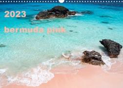 bermuda pink (Wall Calendar 2023 DIN A3 Landscape)