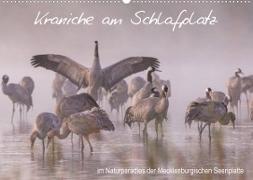 Kraniche am Schlafplatz - im Naturparadies der Mecklenburgischen Seenplatte (Wandkalender 2023 DIN A2 quer)