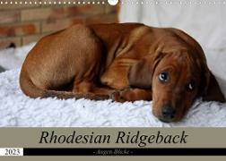 Rhodesian Ridgeback Augen-Blicke (Wandkalender 2023 DIN A3 quer)
