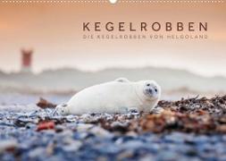 Kegelrobben - Die Kegelrobben von Helgoland (Wandkalender 2023 DIN A2 quer)