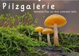Pilzgalerie - Heimische Pilze von ihrer schönsten Seite (Wandkalender 2023 DIN A2 quer)