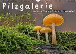 Pilzgalerie - Heimische Pilze von ihrer schönsten Seite (Wandkalender 2023 DIN A3 quer)