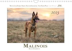 Malinois - Belgische Energiebündel (Wandkalender 2023 DIN A4 quer)