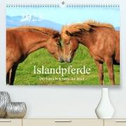 Islandpferde - Die tierischen Stars der Insel (Premium, hochwertiger DIN A2 Wandkalender 2023, Kunstdruck in Hochglanz)