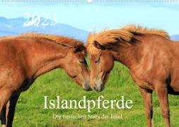 Islandpferde - Die tierischen Stars der Insel (Wandkalender 2023 DIN A2 quer)