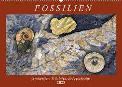 Fossilien - Ammoniten, Trilobiten, Erdgeschichte (Wandkalender 2023 DIN A2 quer)