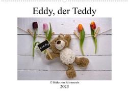 Eddy, der Teddy - 12 Bilder zum Schmunzeln (Wandkalender 2023 DIN A2 quer)