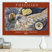 Fossilien - Ammoniten, Trilobiten, Erdgeschichte (Premium, hochwertiger DIN A2 Wandkalender 2023, Kunstdruck in Hochglanz)