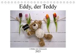 Eddy, der Teddy - 12 Bilder zum Schmunzeln (Tischkalender 2023 DIN A5 quer)