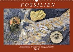 Fossilien - Ammoniten, Trilobiten, Erdgeschichte (Wandkalender 2023 DIN A3 quer)