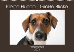 Kleine Hunde - Große Blicke (Wandkalender 2023 DIN A2 quer)