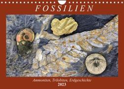 Fossilien - Ammoniten, Trilobiten, Erdgeschichte (Wandkalender 2023 DIN A4 quer)
