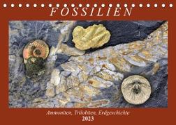 Fossilien - Ammoniten, Trilobiten, Erdgeschichte (Tischkalender 2023 DIN A5 quer)