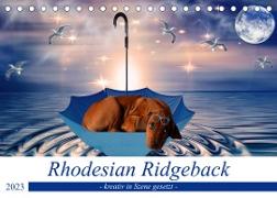 Rhodesian Ridgeback - kreativ in Szene gesetzt - (Tischkalender 2023 DIN A5 quer)