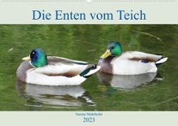 Die Enten vom Teich (Wandkalender 2023 DIN A2 quer)