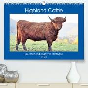 Highland Cattle, die Hochlandrinder aus Pfeffingen (Premium, hochwertiger DIN A2 Wandkalender 2023, Kunstdruck in Hochglanz)