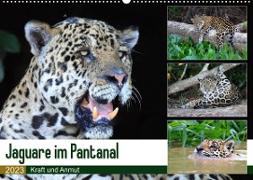 Jaguare im Pantanal (Wandkalender 2023 DIN A2 quer)