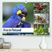 Aras im Pantanal (Premium, hochwertiger DIN A2 Wandkalender 2023, Kunstdruck in Hochglanz)