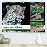 Jaguare im Pantanal (Premium, hochwertiger DIN A2 Wandkalender 2023, Kunstdruck in Hochglanz)