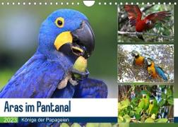 Aras im Pantanal (Wandkalender 2023 DIN A4 quer)