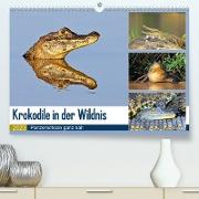 Krokodile in der Wildnis (Premium, hochwertiger DIN A2 Wandkalender 2023, Kunstdruck in Hochglanz)