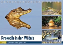 Krokodile in der Wildnis (Tischkalender 2023 DIN A5 quer)