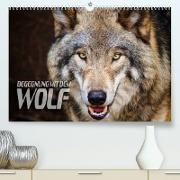 Begegnung mit dem Wolf (Premium, hochwertiger DIN A2 Wandkalender 2023, Kunstdruck in Hochglanz)