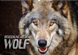 Begegnung mit dem Wolf (Wandkalender 2023 DIN A2 quer)