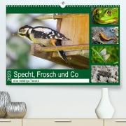 Specht, Frosch und Co - eine vielfältige Tierwelt (Premium, hochwertiger DIN A2 Wandkalender 2023, Kunstdruck in Hochglanz)