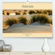 Amrum Insel am Wattenmeer (Premium, hochwertiger DIN A2 Wandkalender 2023, Kunstdruck in Hochglanz)