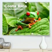 Costa Rica - das Naturparadies (Premium, hochwertiger DIN A2 Wandkalender 2023, Kunstdruck in Hochglanz)