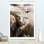 Schafe - 12 Monate in der Herde (Premium, hochwertiger DIN A2 Wandkalender 2023, Kunstdruck in Hochglanz)