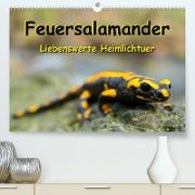 Feuersalamander - Liebenswerte Heimlichtuer (Premium, hochwertiger DIN A2 Wandkalender 2023, Kunstdruck in Hochglanz)