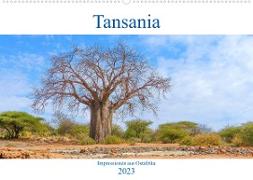 Tansania. Impressionen aus Ostafrika (Wandkalender 2023 DIN A2 quer)