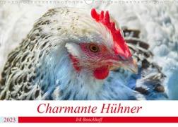 Charmante Hühner (Wandkalender 2023 DIN A3 quer)