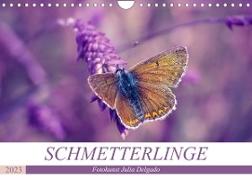 Schmetterlinge im Fokus (Wandkalender 2023 DIN A4 quer)