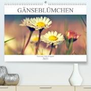 Gänseblümchen Poesie (Premium, hochwertiger DIN A2 Wandkalender 2023, Kunstdruck in Hochglanz)