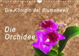 Die Königin der Blumenwelt, die Orchidee (Wandkalender 2023 DIN A4 quer)